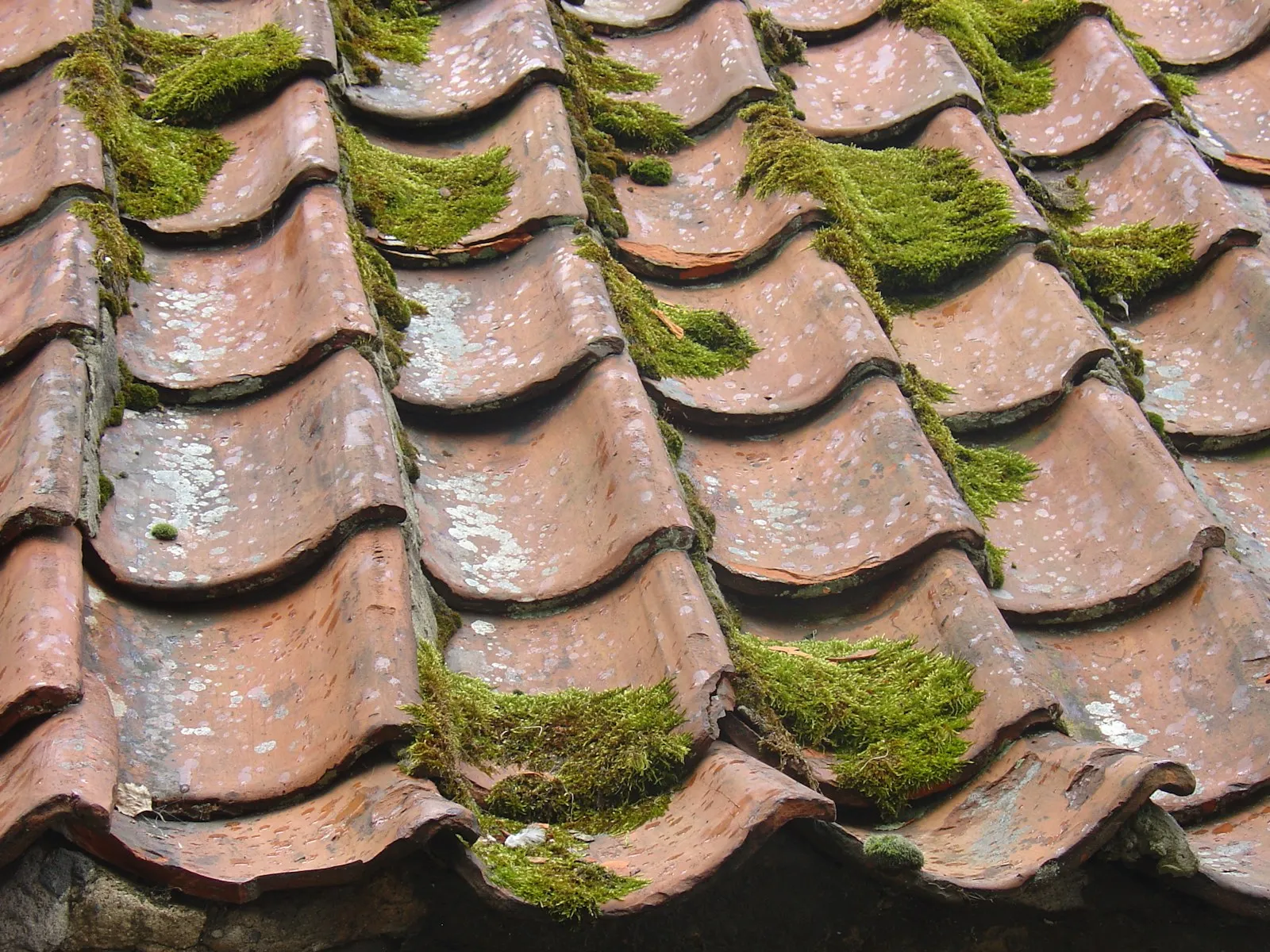Old mossy terracotta tiles before a roof restoration